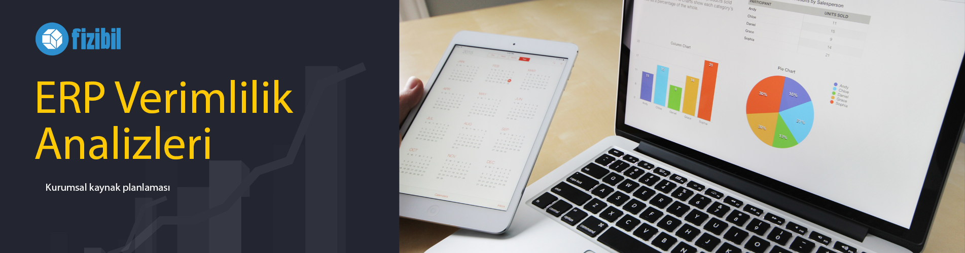 ERP Verimlilik Analizleri Banner